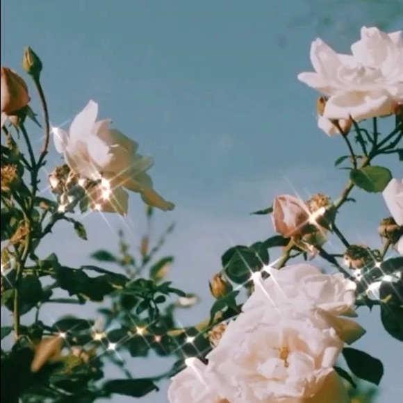 Meet your Posher, Ingrid - Picture 1 of 1